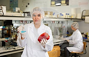 Porträt eine Frau arbeiten glocke Pfeffer ihr Hände biochemisch arbeiten. 