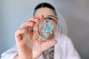 Portrait of female scientist looking blue glitter sample over petri dish on laboratory