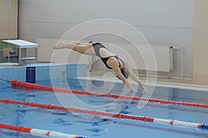 Portrait of a female swimmer, that jumping and diving into indoor sport swimming pool. Sporty woman