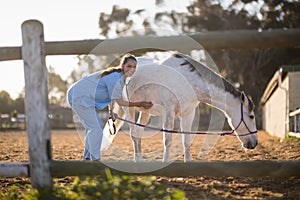 Portrait of female veterinarian examining horse