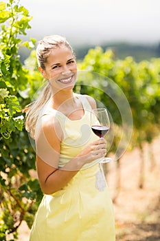 Portrait of female vintner holding wine glass