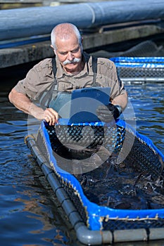 Portrait fisherman preparing net