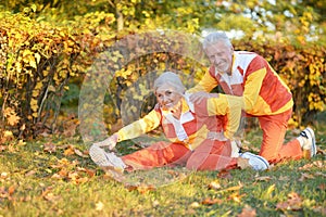 Portrait of fit senior couple exercising in autumn park