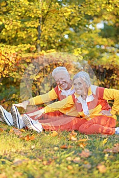 Portrait of fit senior couple exercising in autumn park
