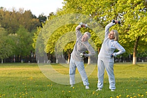 Portrait of fit senior couple exercising in park