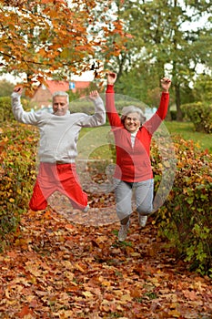 Portrait of fit senior couple exercising in park