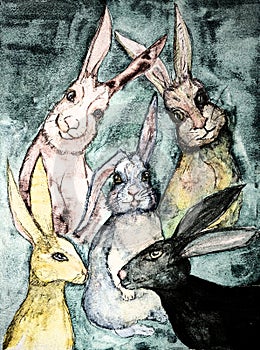 Portrait of five rabbits.