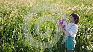 portrait of a five year old boy in a hat stands on a field of dandelions and shoots soap bubbles from a toy gun at