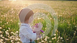 portrait of a five year old boy in a hat stands on a field of dandelions and shoots soap bubbles from a toy gun at