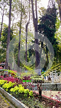 Portrait of a flower garden in the LAWU PARK tourist area