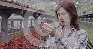 Portrait of focused woman reading label on white bottle with pesticides. Mid-adult Caucasian female biologist agronomist