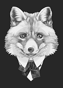 Portrait of Fox in suit. Hand drawn illustration.