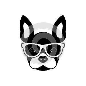 Portrait of french bulldog with glasses, black and white flat style.