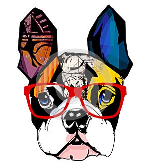 Portrait of french bulldog wearing sunglasses