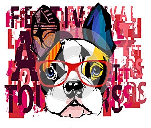 Portrait of french bulldog wearing sunglasses