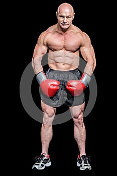 Portrait full length of bald boxer flexing muscles