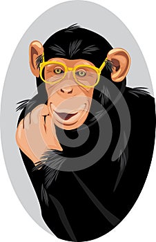 Portrait of a funny chimpanzee with eyeglasses