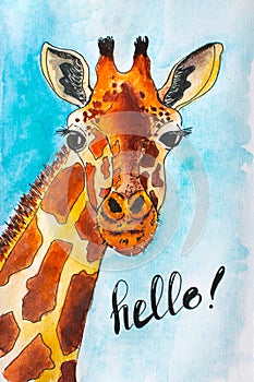 Portrait of a funny giraffe on a blue background. Hand drawn giraffe.