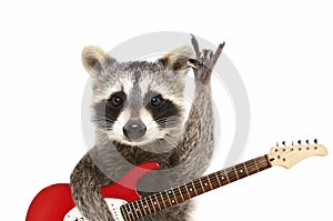 Portrait of a funny raccoon with electric guitar, showing a rock gesture