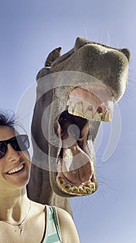 PORTRAIT: Funny shot of a happy young woman smiling with her big brown horse.