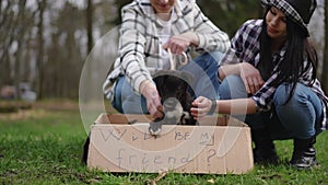 Portrait of furry adorable puppy in cardboard box with young man and woman caressing pet. Caucasian couple rescuing