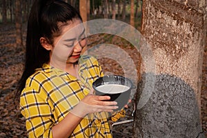 Portrait gardener young asea woman look at a full cup of raw para rubber milk of tree in plantation rubber tapping form Thailand,