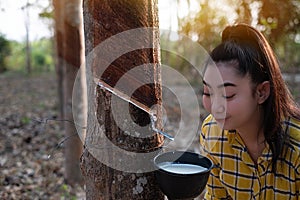 Portrait gardener young asea woman look at a full cup of raw para rubber milk of tree in plantation rubber tapping form Thailand,