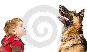 Portrait of German shepherd dog and cute boy