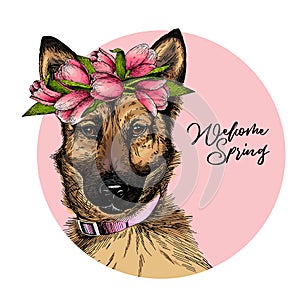 Portrait of german shepherd dog wearing tulip crown and bandana. Welcome spring. Hand drawn colored vector illustration