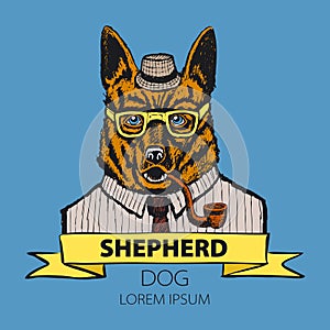 Portrait of German Shepherd. Hand-drawn illustration, digitally colored. vector