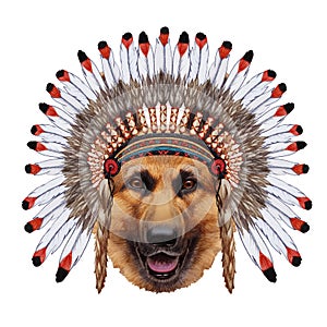 Portrait German Shepherd in war bonnet.