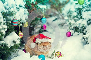 Portrait of a ginger cat wearing Santa Claus hat