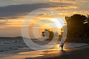 Portrait of a girl with dog walking Silhouette On the beach at s