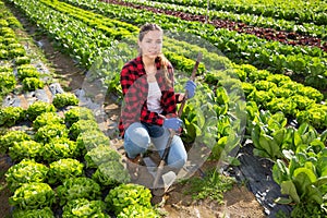 Portrait of girl vegetable grower in family vegetable farm