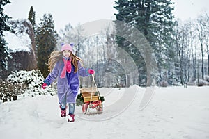 Portrait of girl in winter forest. Girl carries a Christmas tree and presents with sled.