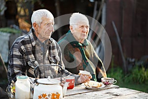 Portrait of grandparents