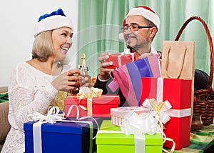 Portrait of grandparents packed gifts