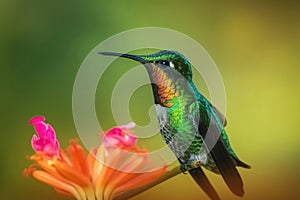 Portrait of a Green Hummingbird on a Flower created with generative AI technology