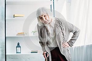 portrait of grey hair lady akimbo with walking stick standing in middle of room