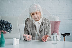 portrait of grey hair woman