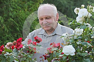 Portrait of grower of roses