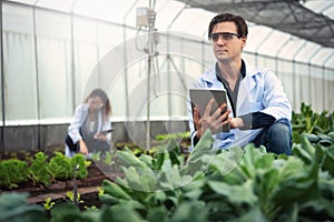 Portrait of handsome agricultural researcher holding tablet while working on research at plantation in industrial greenhouse