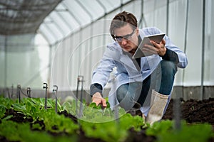 Portrait of handsome agricultural researcher holding tablet while working on research at plantation in industrial greenhouse