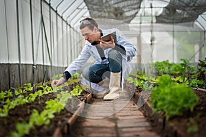 Portrait of handsome agricultural researcher holding tablet while working on research at plantation in industrial greenhouse