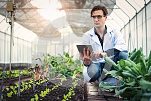 Portrait of handsome agricultural researcher holding tablet while working on research at plantation in industrial greenhouse