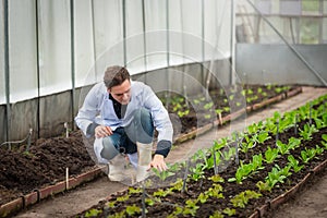 Portrait of handsome agricultural researcher working on research at plantation in industrial greenhouse