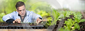 Portrait of handsome agricultural researcher working on research at plantation in industrial greenhouse. Panorama image use for