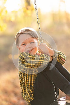 Portrait of a handsome little smiling boy on a swing