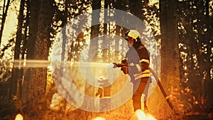 Portrait of a Handsome Professional Firefighter Methodically Extinguishing a Forest Fire with the