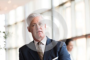 Portrait of handsome senior business man at modern office